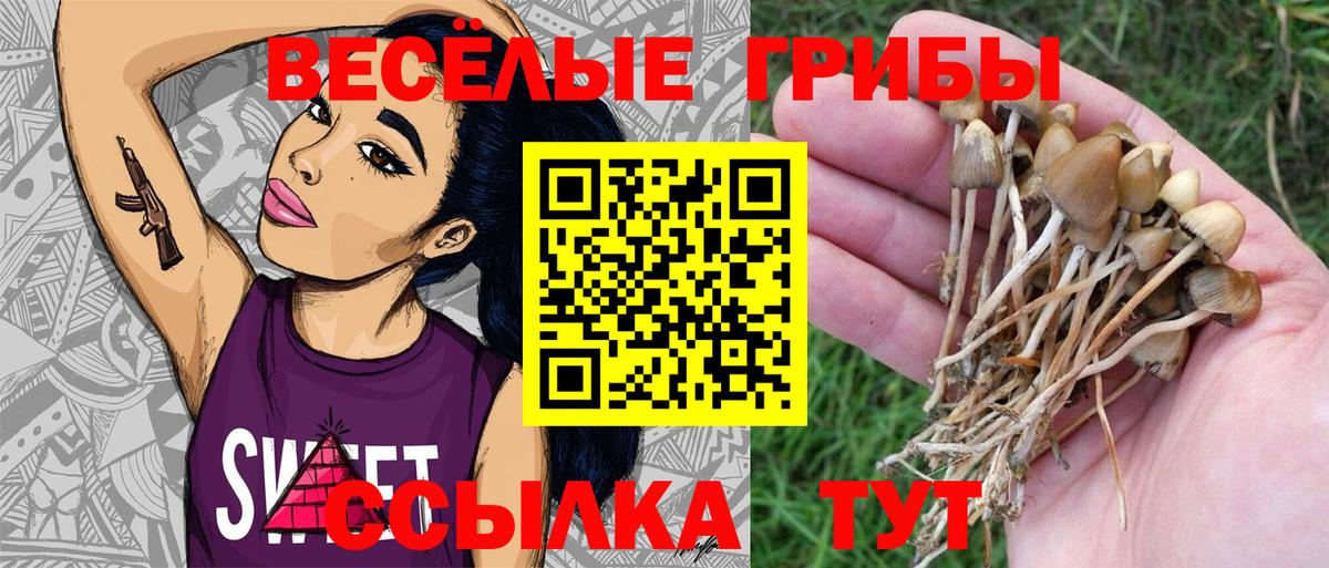Печора  Галлюциногенные грибы мухоморы  Вход с VPN  Галлюциногенные грибы ЛСД 